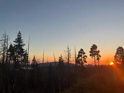 36980 Peterson Rd, Auberry, CA 93602