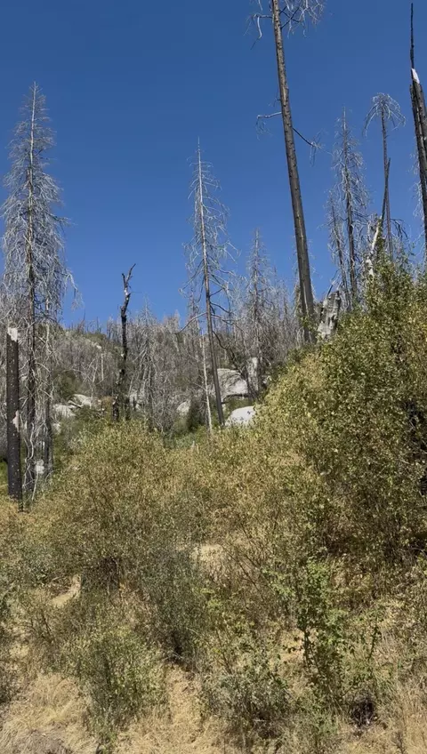 36980 Peterson Rd, Auberry, CA 93602