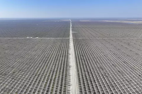 Other - Ca-43, Earlimart, CA 93219 photo 2 of 15