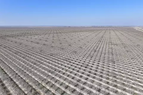 Other - Ca-43, Earlimart, CA 93219 photo 5 of 15