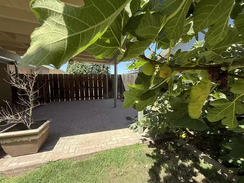Exterior - 2300 E Iris Ave, Visalia, CA 93292 photo 8 of 22