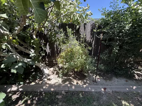Exterior - 2300 E Iris Ave, Visalia, CA 93292 photo 9 of 22
