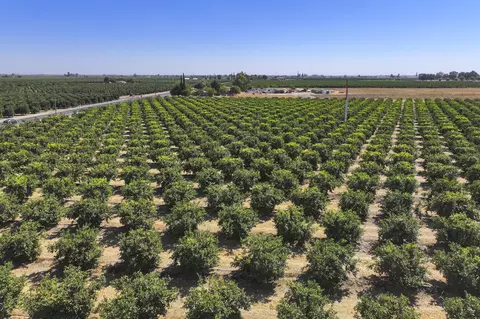 View/Area - Ave. 424, Dinuba, CA 93618 photo 3 of 4