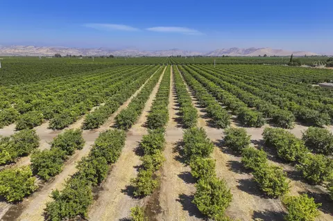 Other - Ave. 424, Dinuba, CA 93618 photo 6 of 8