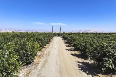 Other - Ave. 424, Dinuba, CA 93618 photo 2 of 8