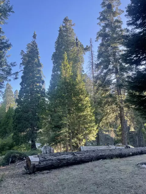 Other - 16 Coy Flat Rd, Springville, CA 93265 photo 4 of 7
