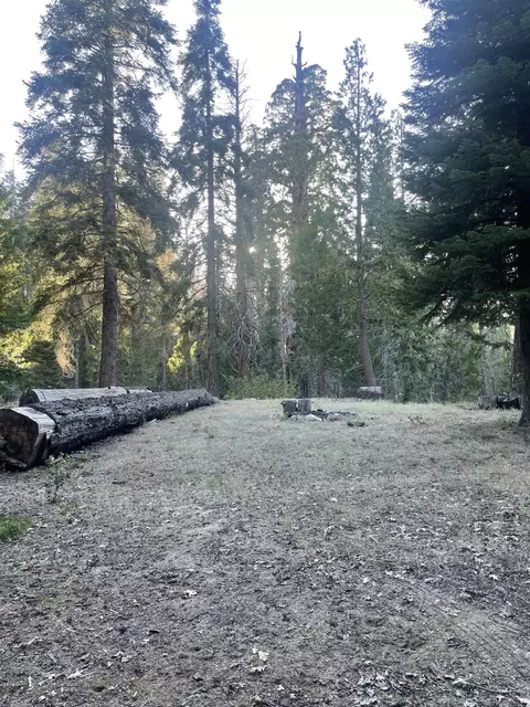 Other - 16 Coy Flat Rd, Springville, CA 93265 photo 6 of 7