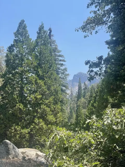 Other - 16 Coy Flat Rd, Springville, CA 93265 photo 7 of 7