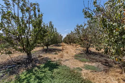 Other - Road 112, Tulare, CA 93274 photo 6 of 9