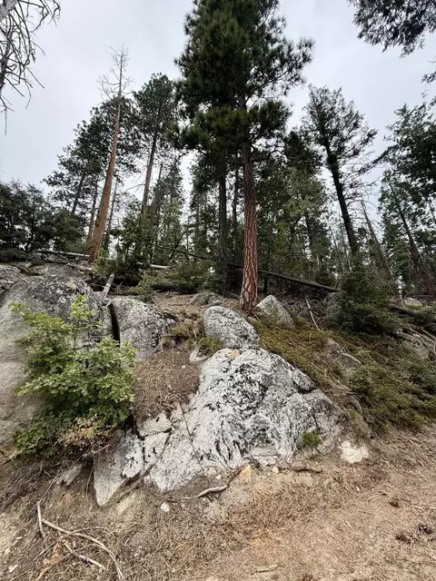 67 68 Mountain-aire, Springville, CA 93265 photo 15