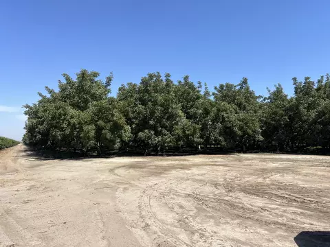 Other - Undisclosed, Strathmore, CA 93267 photo 19 of 21