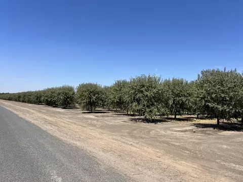 Other - Undisclosed, Strathmore, CA 93267 photo 11 of 21