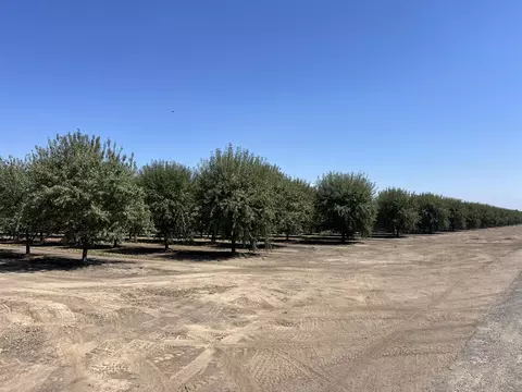 Other - Undisclosed, Strathmore, CA 93267 photo 8 of 21