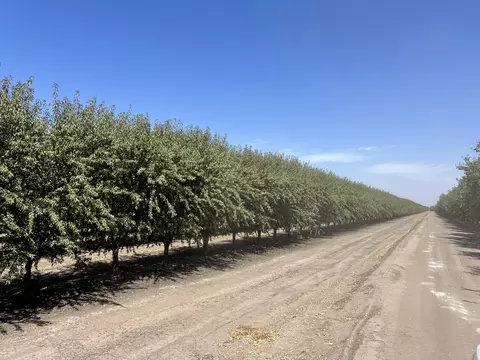 Other - Undisclosed, Strathmore, CA 93267 photo 13 of 21