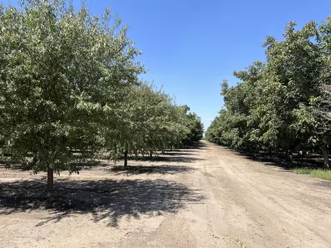 Other - Undisclosed, Strathmore, CA 93267 photo 16 of 21