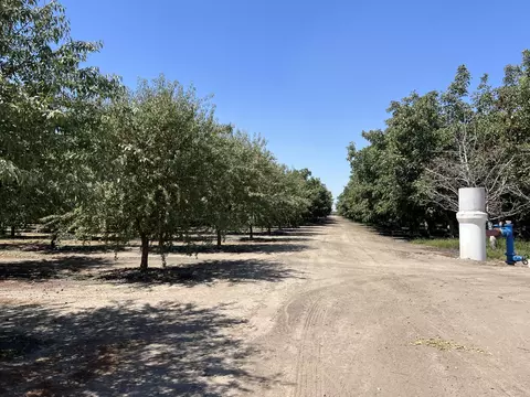 Other - Undisclosed, Strathmore, CA 93267 photo 14 of 21
