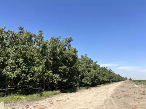 Other - Undisclosed, Strathmore, CA 93267 photo 15 of 21