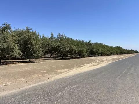 Other - Undisclosed, Strathmore, CA 93267 photo 5 of 21