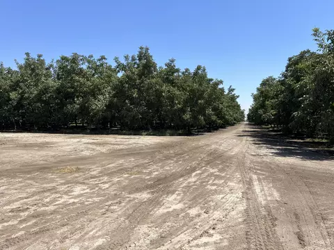 Other - Undisclosed, Strathmore, CA 93267 photo 20 of 21