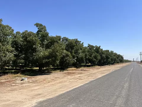 Other - Undisclosed, Strathmore, CA 93267 photo 7 of 21