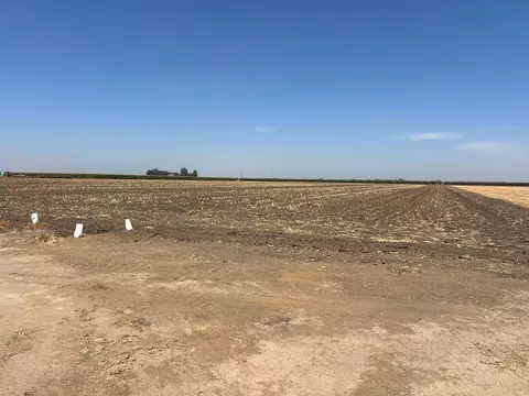 Other - Ave 200, Strathmore, CA 93267 photo 3 of 6