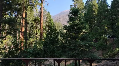 Exterior - 51867 Cedar Rd, Cedar Slope, CA 93265 photo 3 of 12
