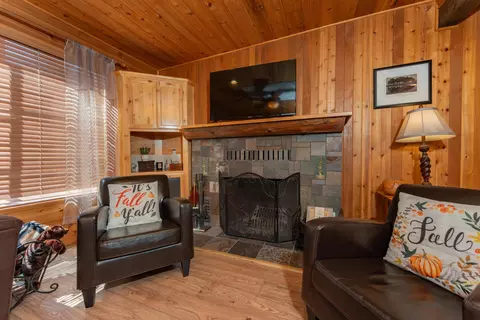 Living - 706 Loop Dr, Springville, CA 93265 photo 4 of 10