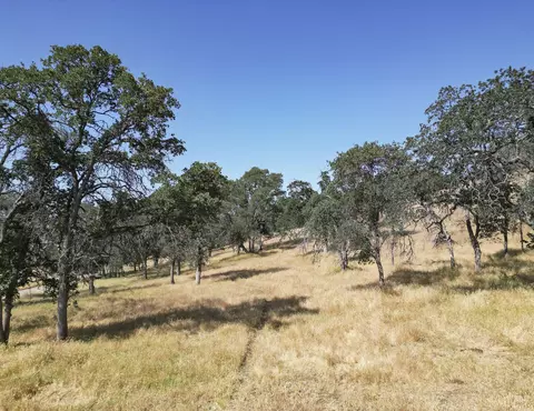 Ca-180, Yokuts Valley, CA 93675 photo 14