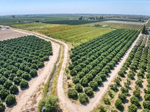View/Area - Undisclosed, Reedley, CA 93654 photo 4 of 17