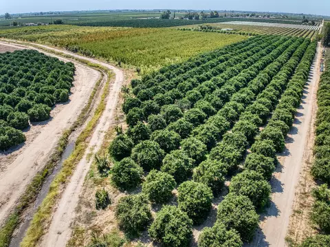View/Area - Undisclosed, Reedley, CA 93654 photo 5 of 17