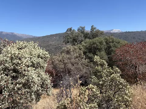 0001 Hogback, Badger, CA 93603 photo 7