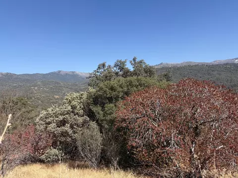 0001 Hogback, Badger, CA 93603 photo 2