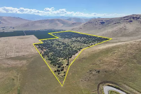 Other - E Myer Drive, Exeter, CA 93221 photo 3 of 8