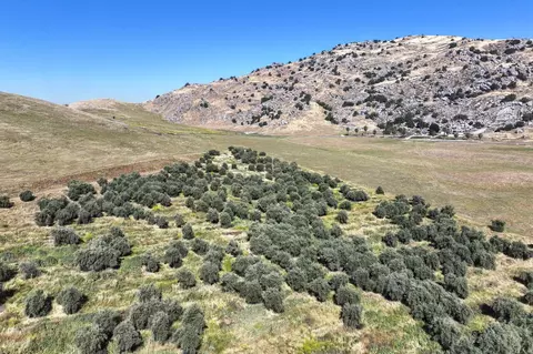 Other - E Myer Drive, Exeter, CA 93221 photo 4 of 8