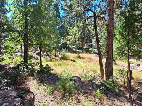 41290 Kokanee Ave, Shaver Lake, CA 93664