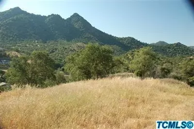 42275 Black Oak Dr, Three Rivers, CA 93271 photo 4