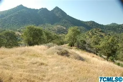 42275 Black Oak Dr, Three Rivers, CA 93271 photo 5