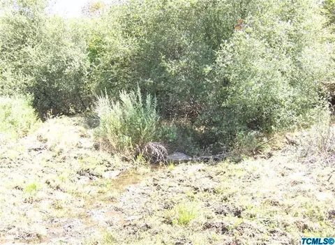 41480 Dunlap Rd, Dunlap, CA 93621 photo 9