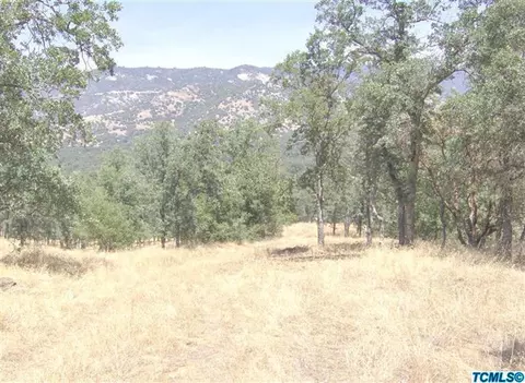 41480 Dunlap Rd, Dunlap, CA 93621 photo 4