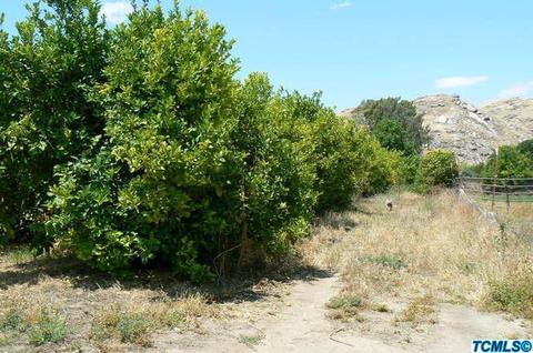 21829 Road 252, Lindsay, CA 93247 photo 9