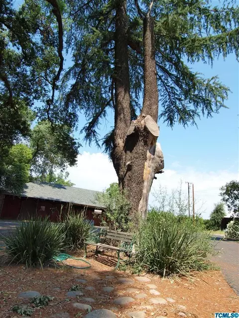 29626 Road 210, Exeter, CA 93221 photo 38
