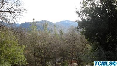 43647 Washburn Dr, Three Rivers, CA 93271 photo 12