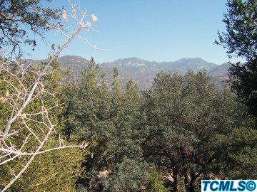 43647 Washburn Dr, Three Rivers, CA 93271 photo 13