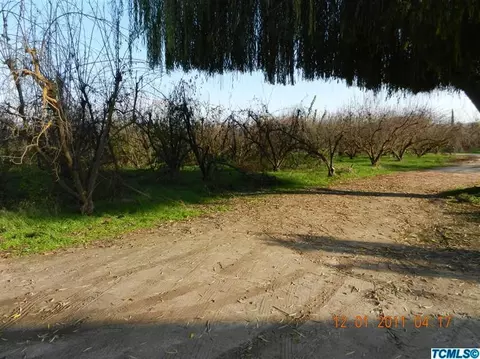 31487 Road 204, Exeter, CA 93221 photo 4