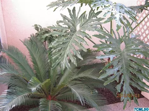 924 E Arlen Ave, Visalia, CA 93292 photo 3
