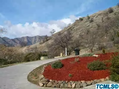 42091 Black Oak Dr, Three Rivers, CA 93271 photo 2