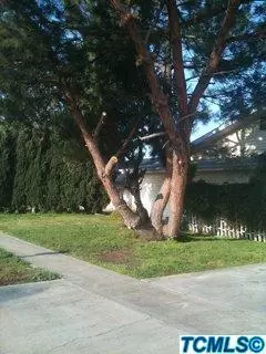 922 E Pleasant Ave, Tulare, CA 93274 photo 4