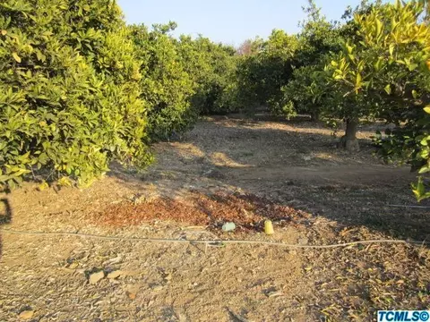 15528 Avenue 328, Ivanhoe, CA 93235 photo 21
