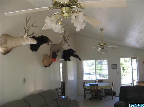 53449 Visalia Rd, Miramonte, CA 93641 photo 6