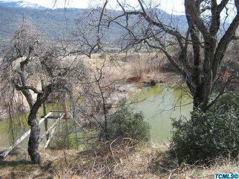 53449 Visalia Rd, Miramonte, CA 93641 photo 5